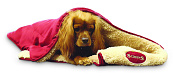 Scruffs Snuggle Blanket assorti