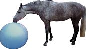 QHP paardenvoetbal blauw 100 cm
