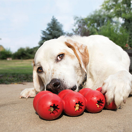 Kong Goodie Ribbon rood