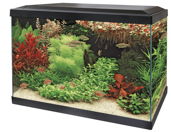 SuperFish aquarium Aqua 70 LED Tropical kit zwart