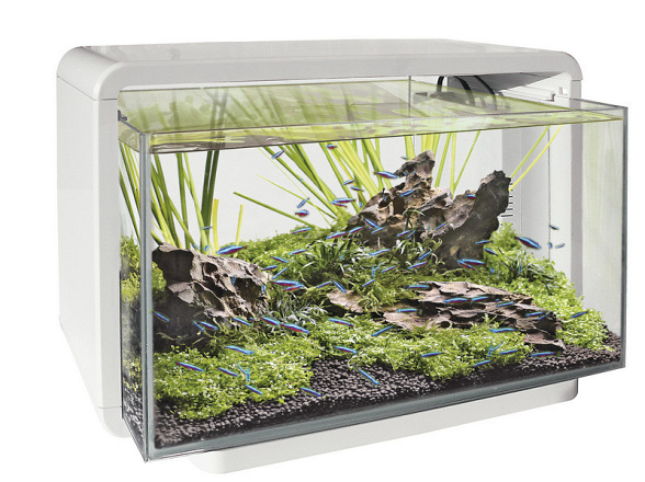 SuperFish aquarium Home 25 wit