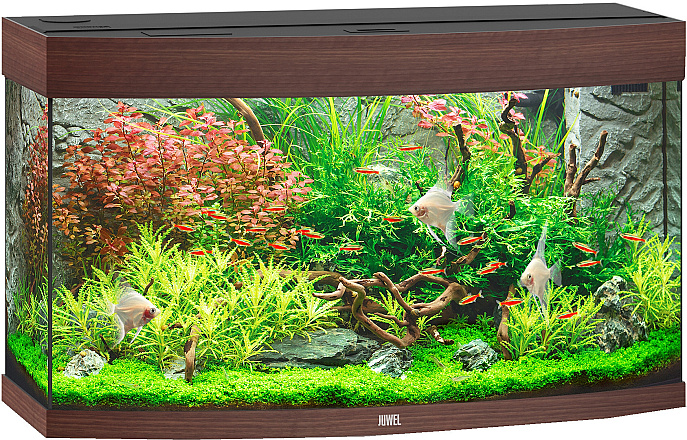 Juwel aquarium Vision 180 LED donkerbruin