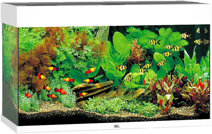 Juwel aquarium Rio 125 LED wit